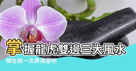 龍虎邊怎麼看|現在就一次弄清楚吧 